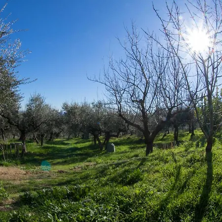 Orion House بيت للعطل