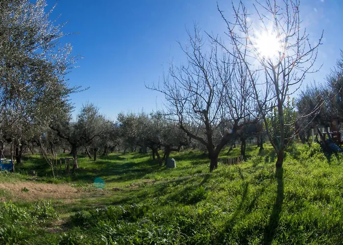 Orion House بيت للعطل